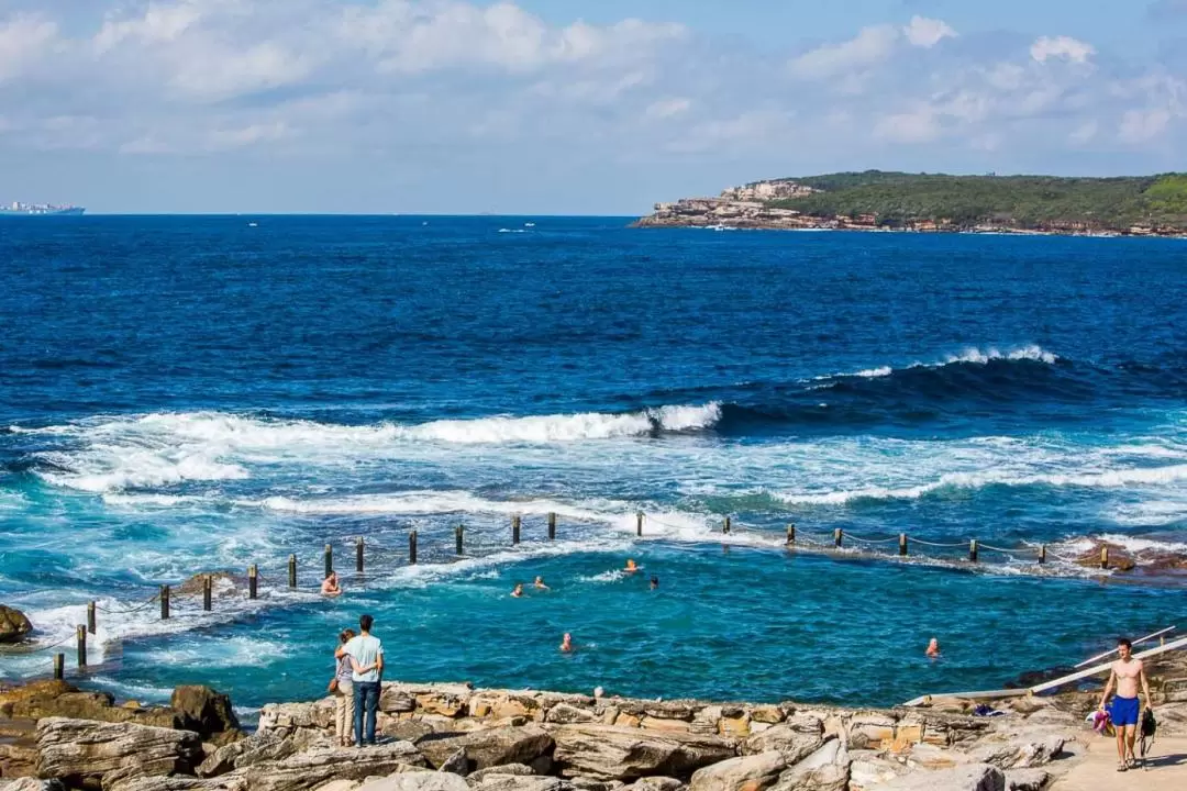 Sydney Beaches, Baths and Rockpools Private Tour 