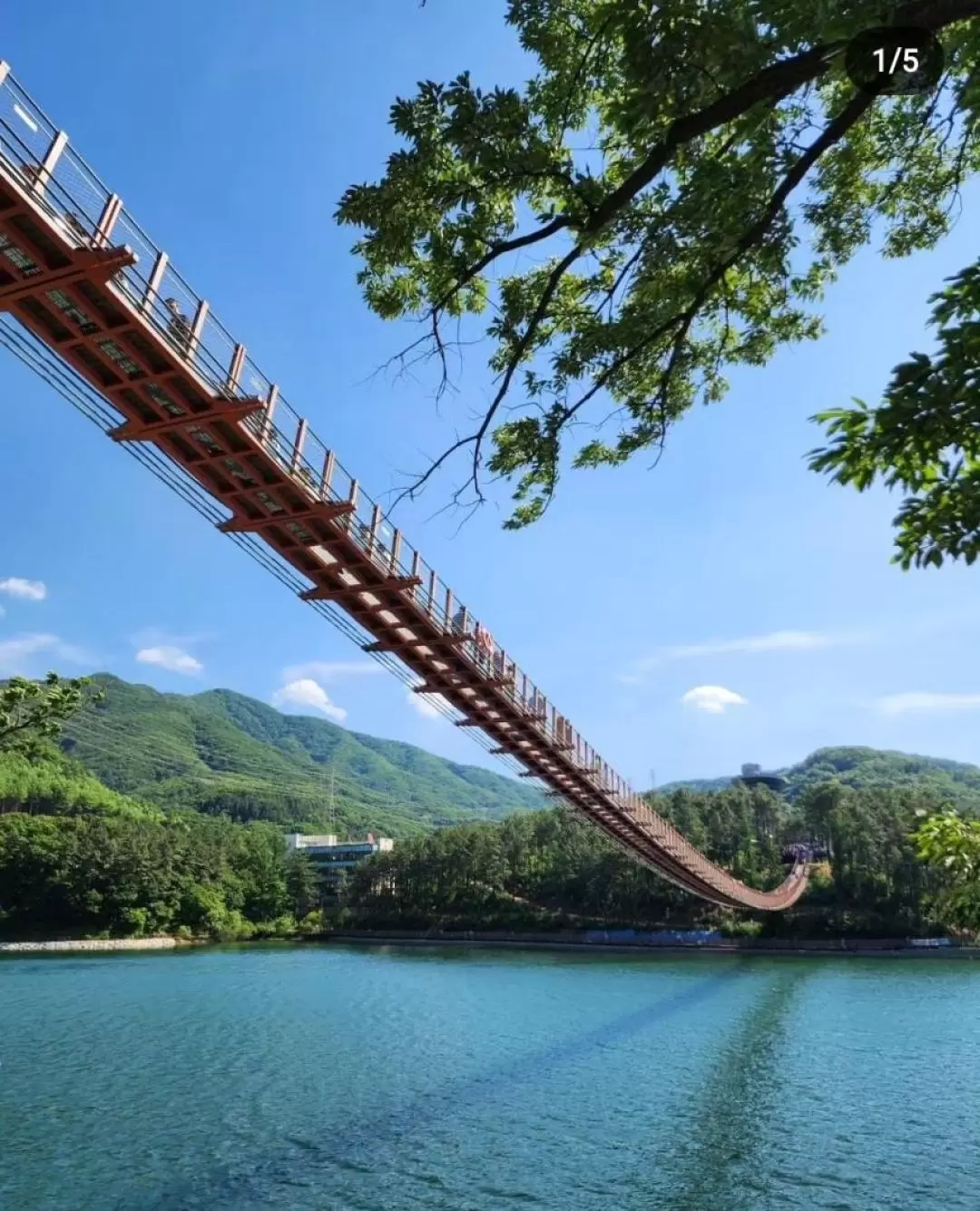 非武装地帯（DMZ）第3侵攻トンネル・吊り橋 日帰りツアー（ソウル発）