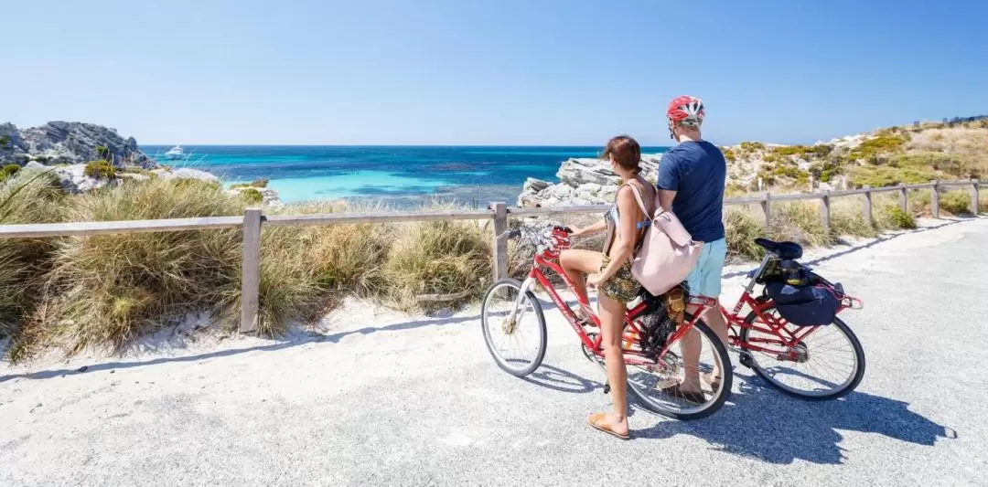 Rottnest Island Ferry, Bike, Snorkel Trip from Fremantle or Perth