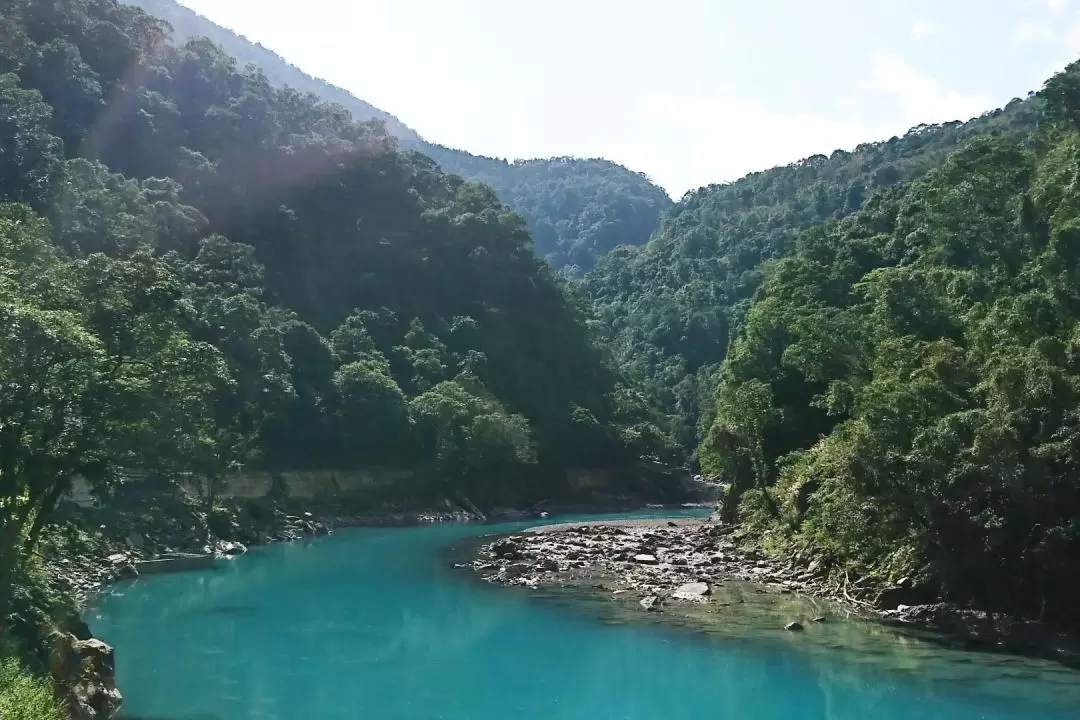 Neidong Forest Recreation Area Ticket in New Taipei City