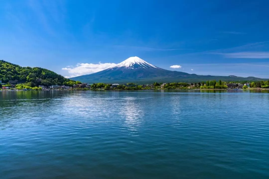 富士山包車遊覽一日遊（東京出發）