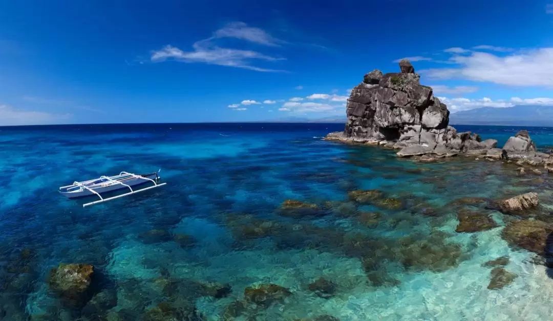 Apo Island Snorkeling Private Tour from Dumaguete