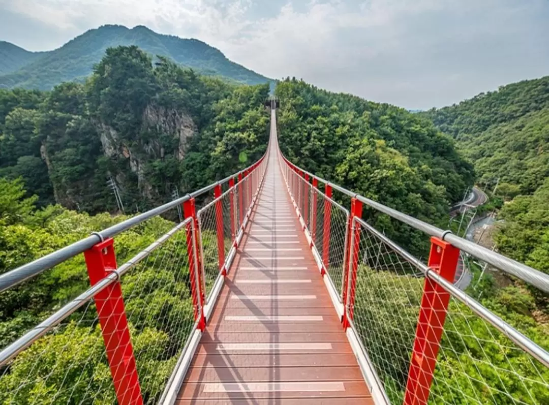 DMZ 3rd Invasion Tunnel and Suspension Bridge Day Tour from Seoul