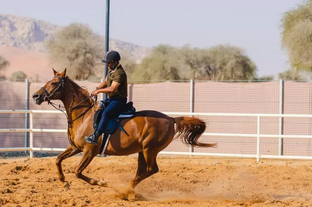Discover Mleiha Horseback Riding Experience in Sharjah