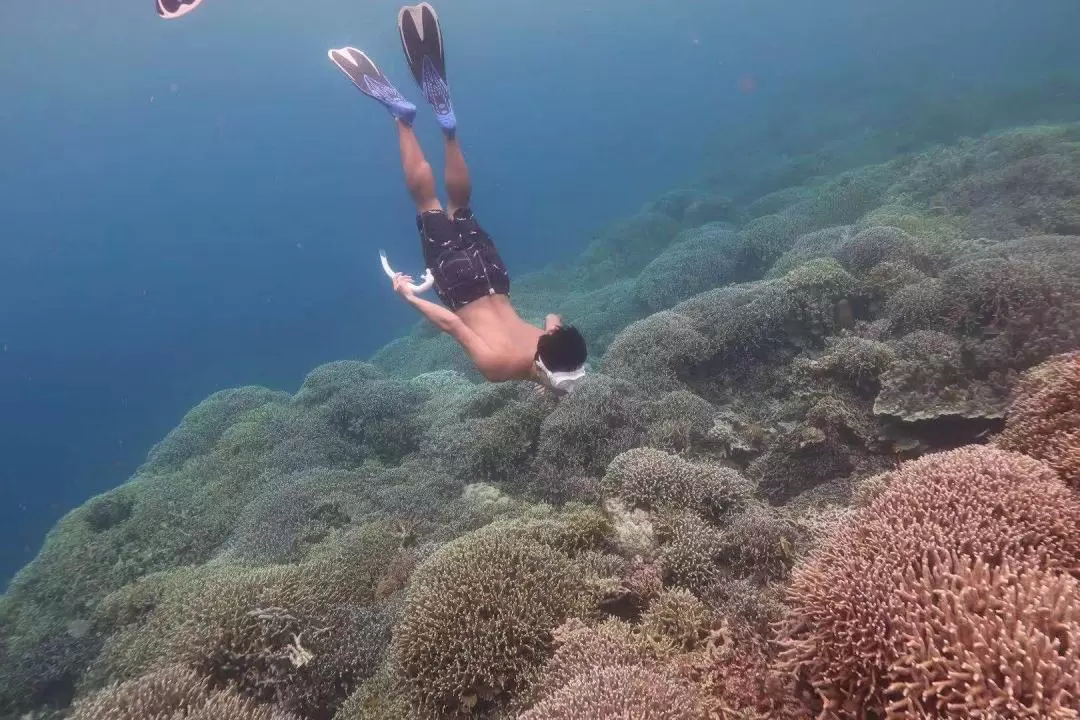 Pescador Island Hopping Private Tour from Cebu, Mandaue, Lapu Lapu, and Mactan Island