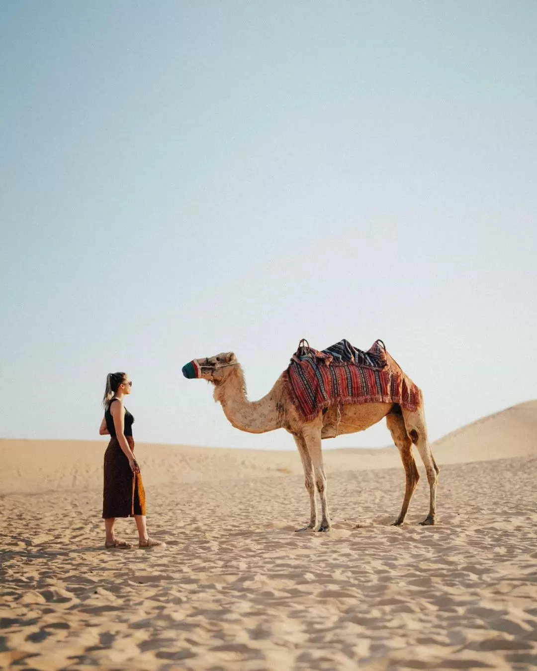 Evening Desert Safari Experience from Abu Dhabi