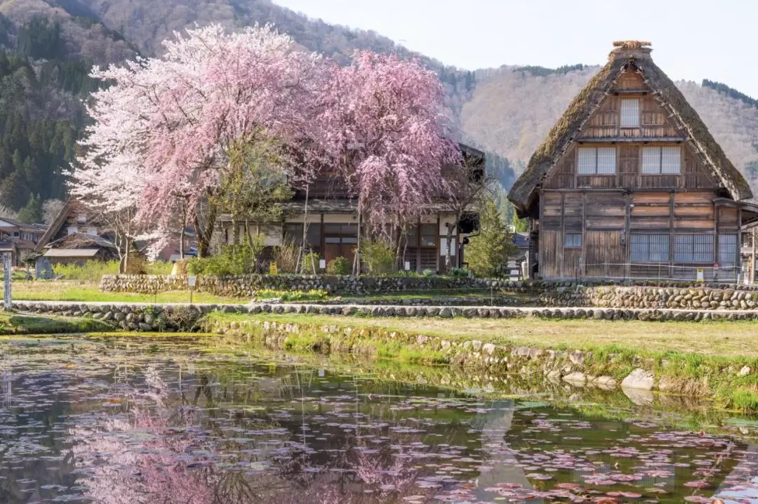 Gassho Zukuri Folk Village & Hida Takayama Day Tour from Nagoya