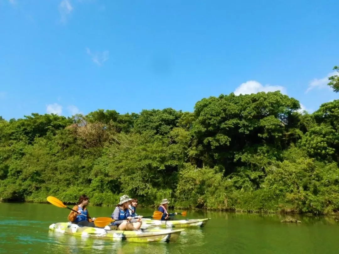 Mangrove Kayak Tour in Hijya River