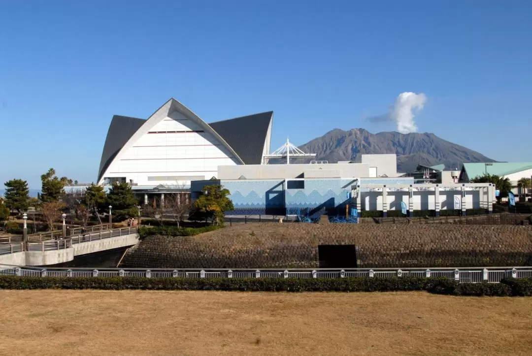 Kagoshima City Aquarium Ticket in Kyushu