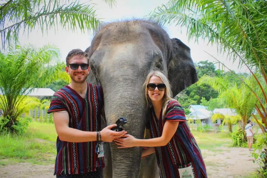 Elephant Care Park Experience in Phuket