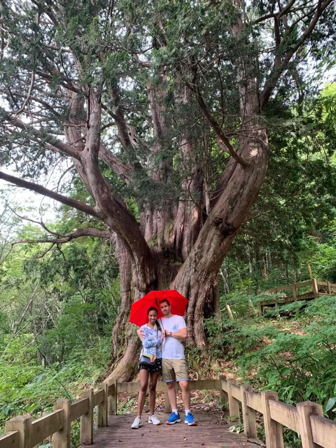 高山健行之旅