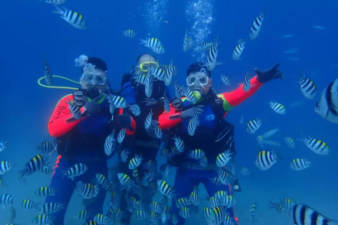 Kenting Sea World Diving; Experience Diving; OW Diver Course