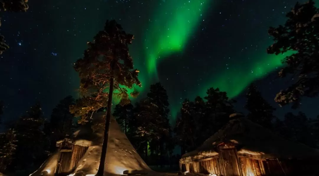 Northern Lights Chase with Lappish Barbecue from Rovaniemi