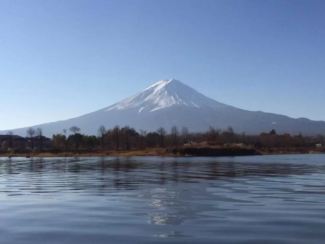 Mt Fuji Day Tour from Tokyo