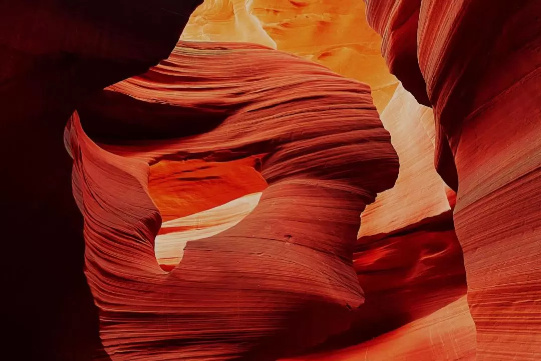 Antelope Canyon, Glen Canyon & Horseshoe Bend Tour from Las Vegas