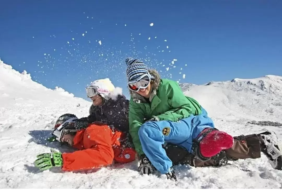 布勒山雪地一日遊