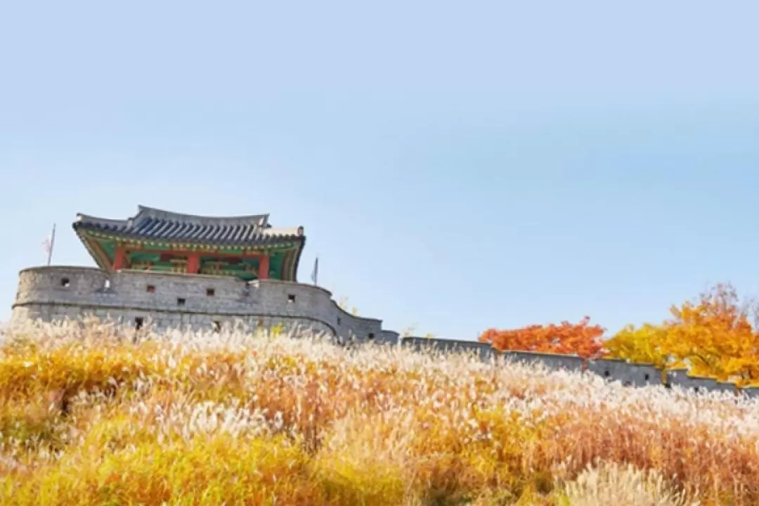 水原華城歷史遺蹟秋季一日遊（首爾出發）