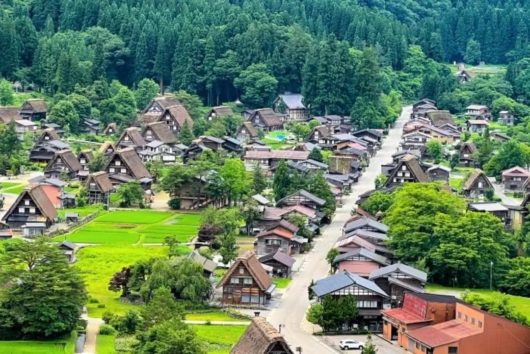 白川鄉世界遺產 & 高山探索之旅（名古屋出發）