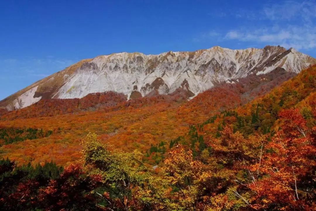 3-Hour Sightseeing Backpacking Tour in Tottori Prefecture 