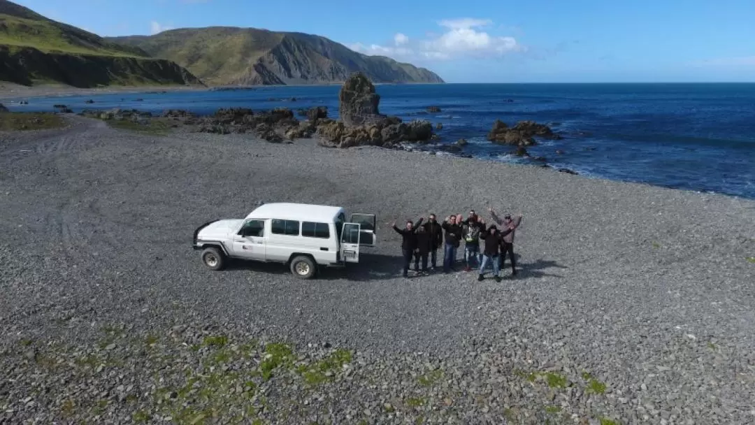 威靈頓 Seal Coast Safari 海豹灣之旅