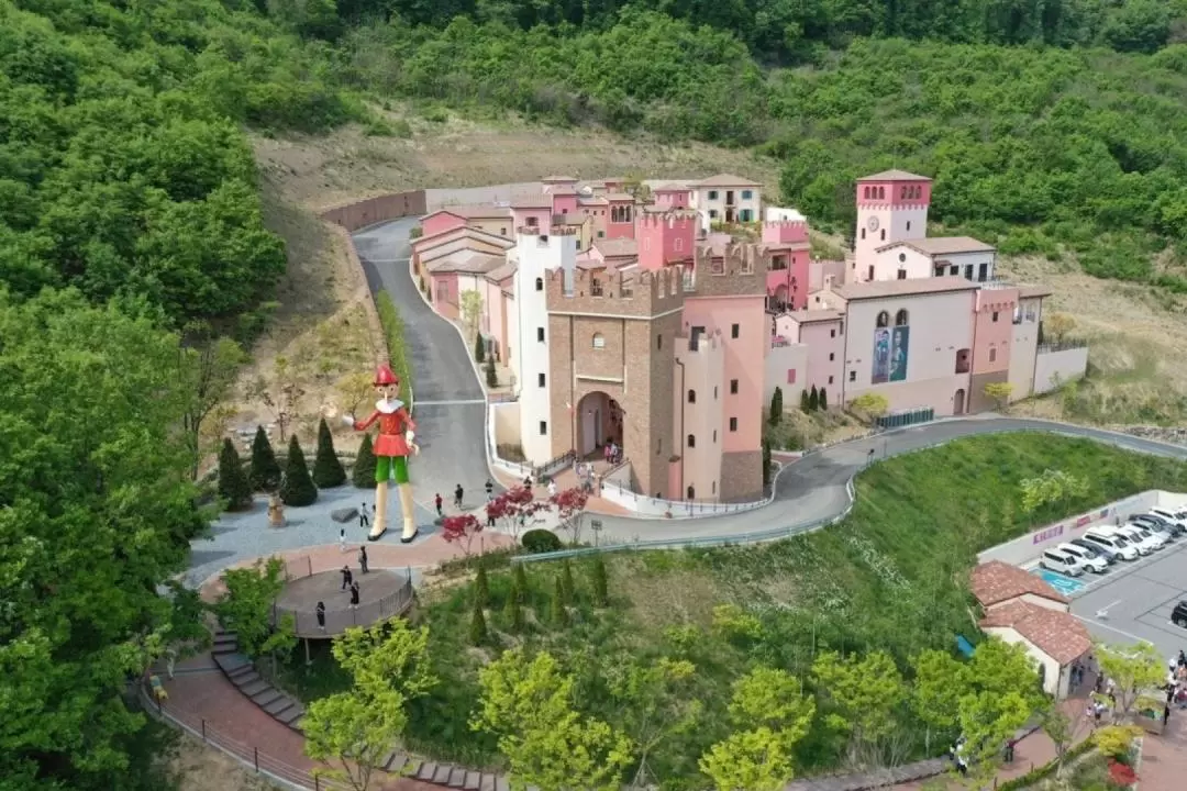 南怡島・プチフランス・イタリア村 バン乗車チケット（ソウル発）