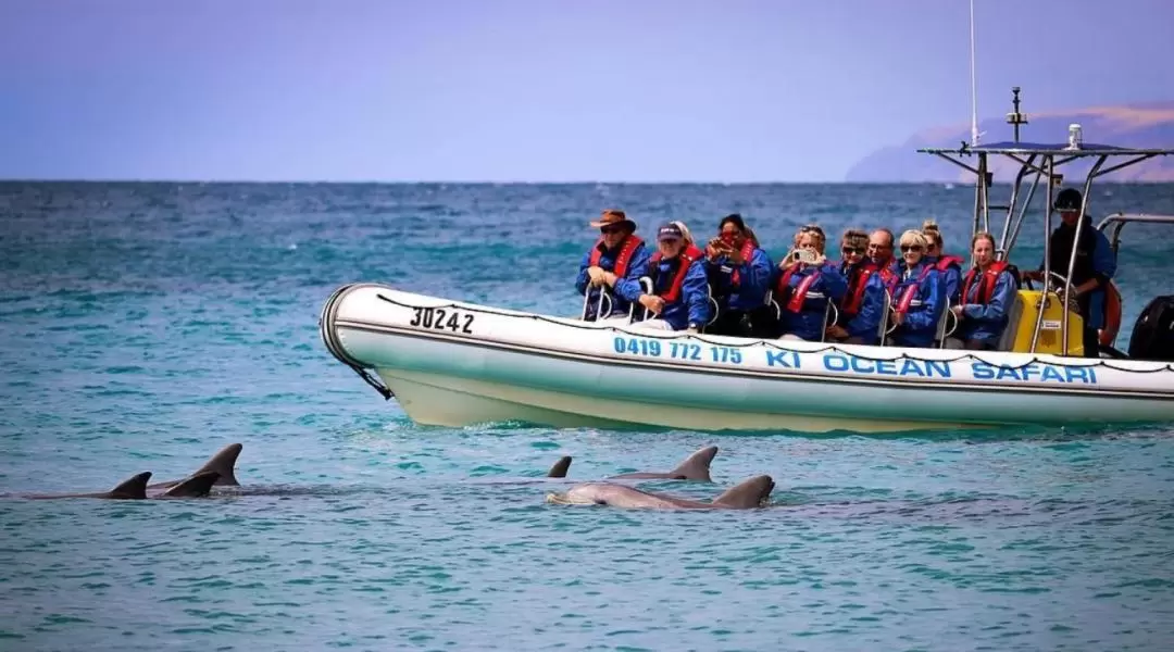 Kangaroo Island Ocean Safari Experience in Adelaide