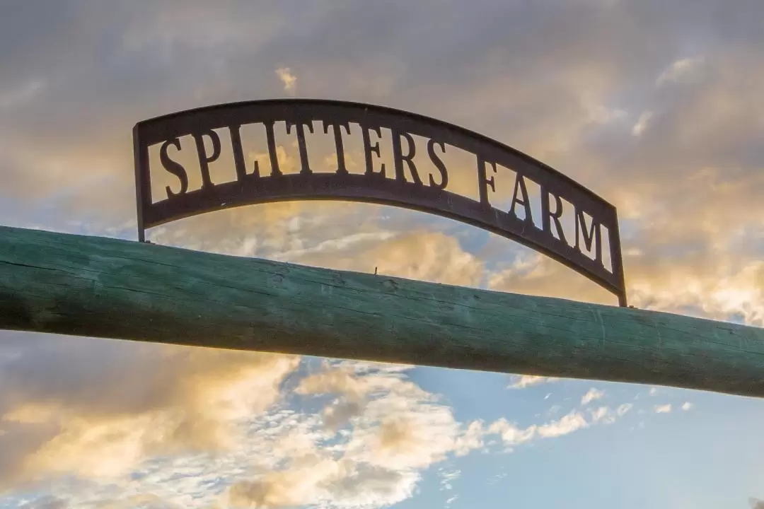 Splitters Farm Ticket in Bundaberg