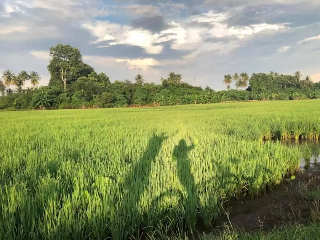 Balik Pulau Cyling Tour with Local Villages Visit in Penang