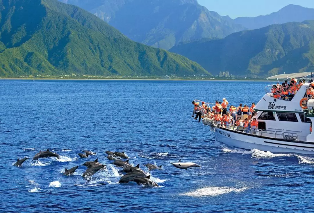 Hualien Whale-Watching Tour by Whale World 