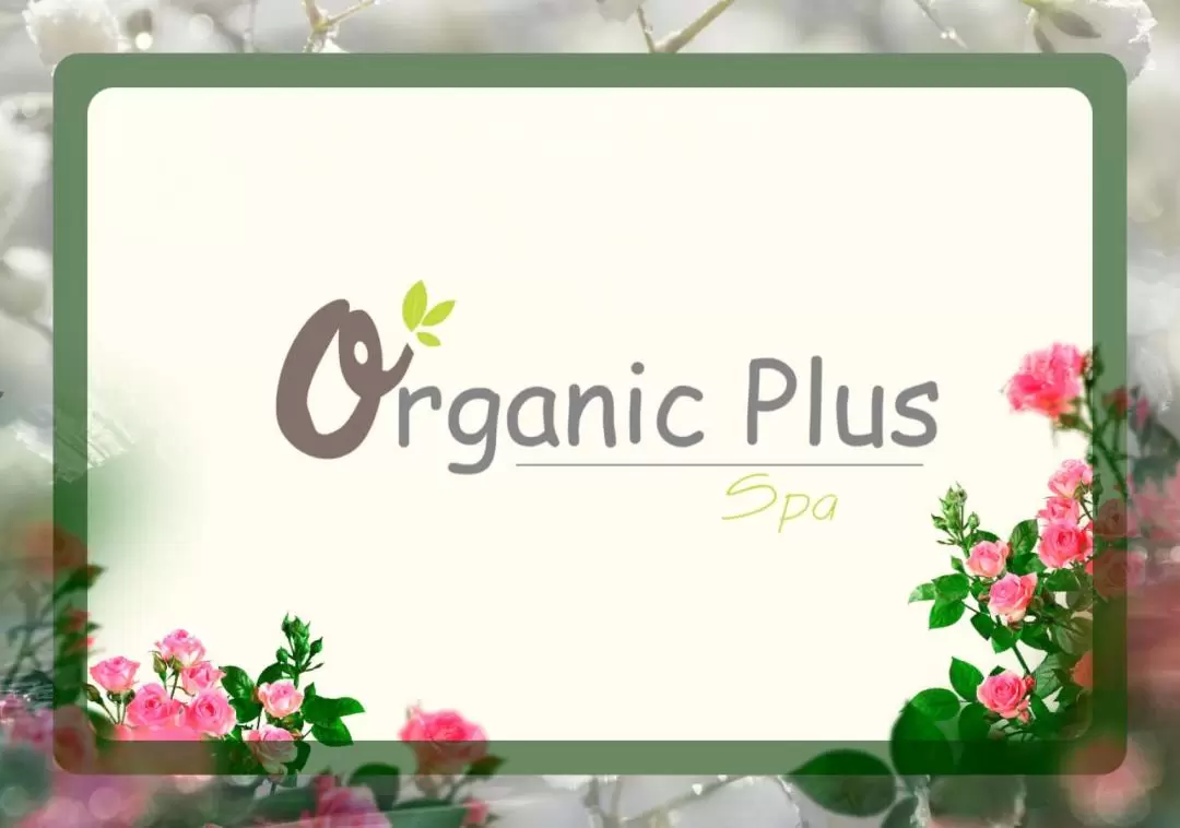 Organic Plus Spa Experience in Da Nang