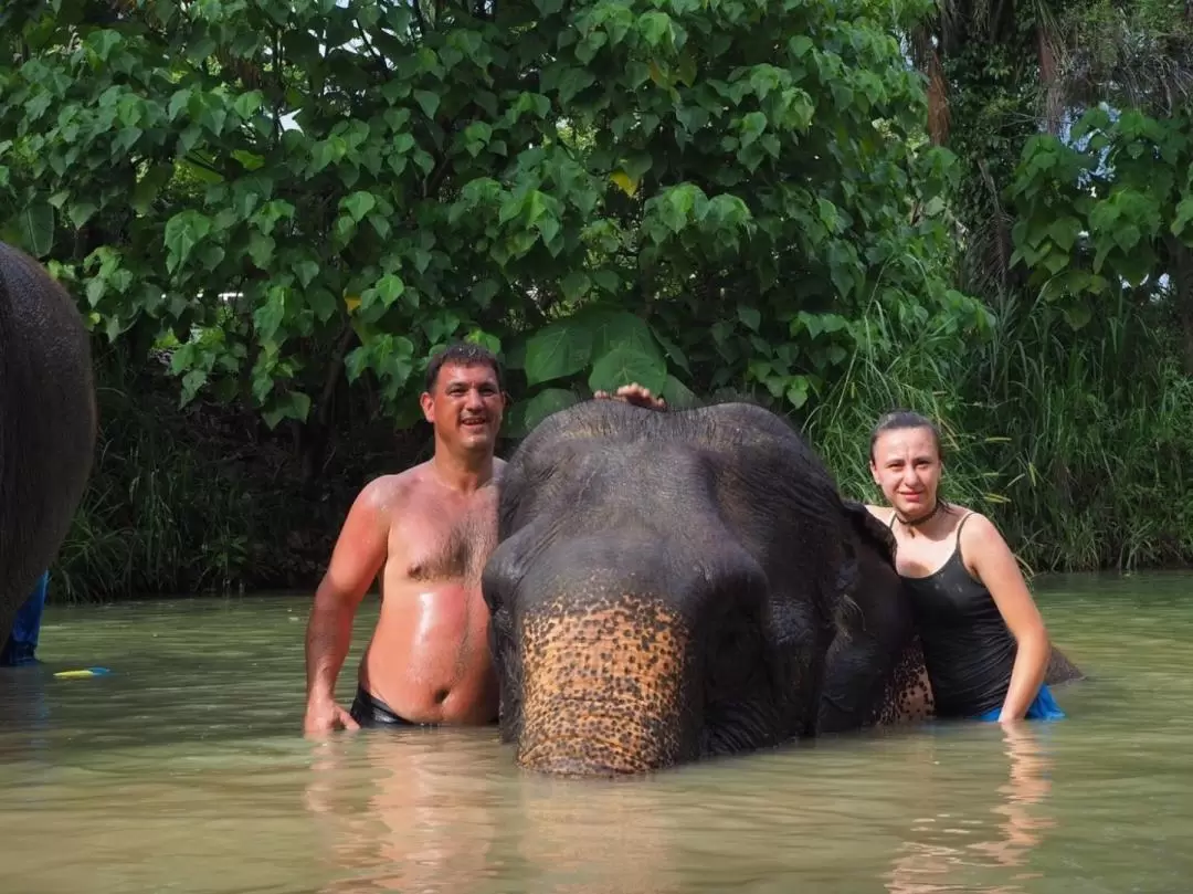 Aonang Elephant Sanctuary Experience