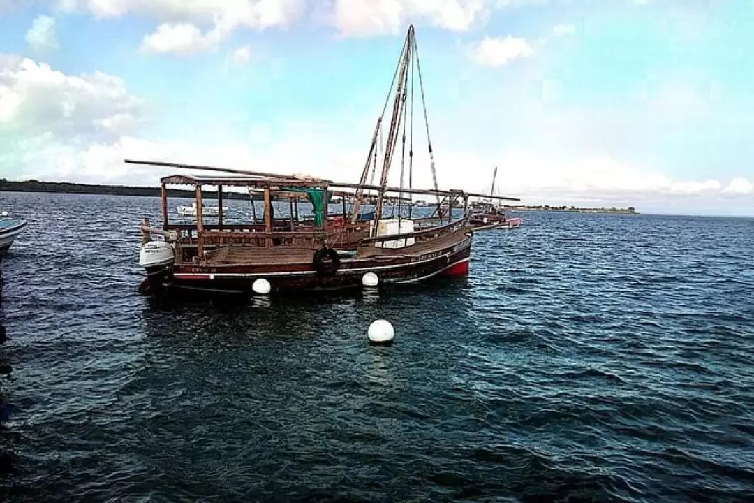 ワシニ島・キシテ ムプングティ海洋公園 プライベート日帰りツアー