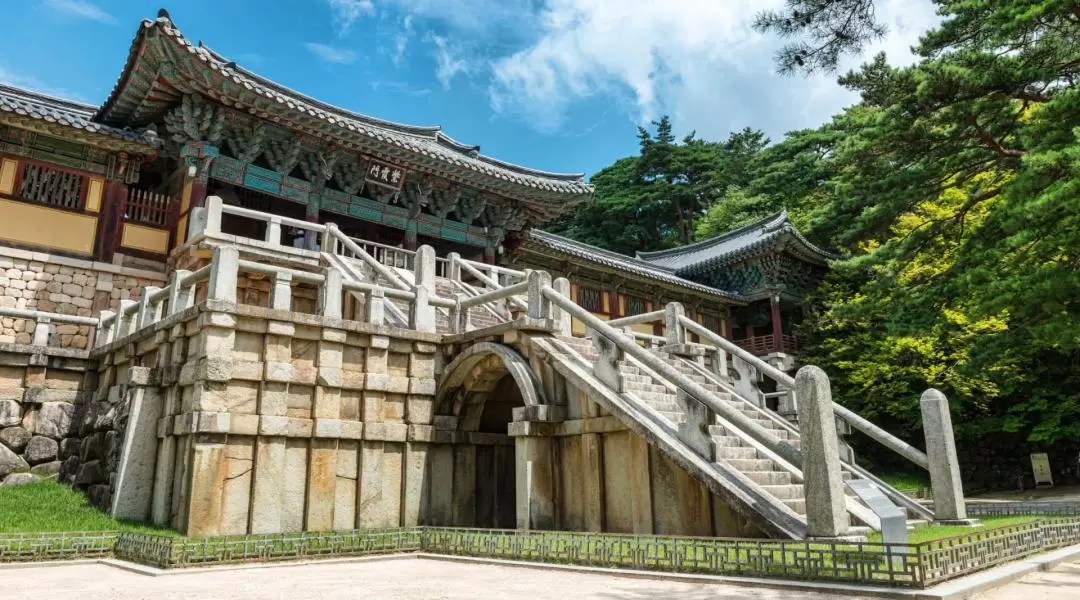 Busan and Gyeongju Private Customized Tour