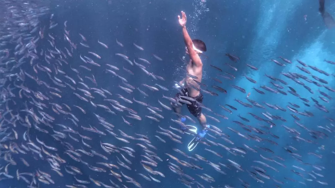 Pescador Island Hopping Private Tour from Cebu, Mandaue, Lapu Lapu, and Mactan Island