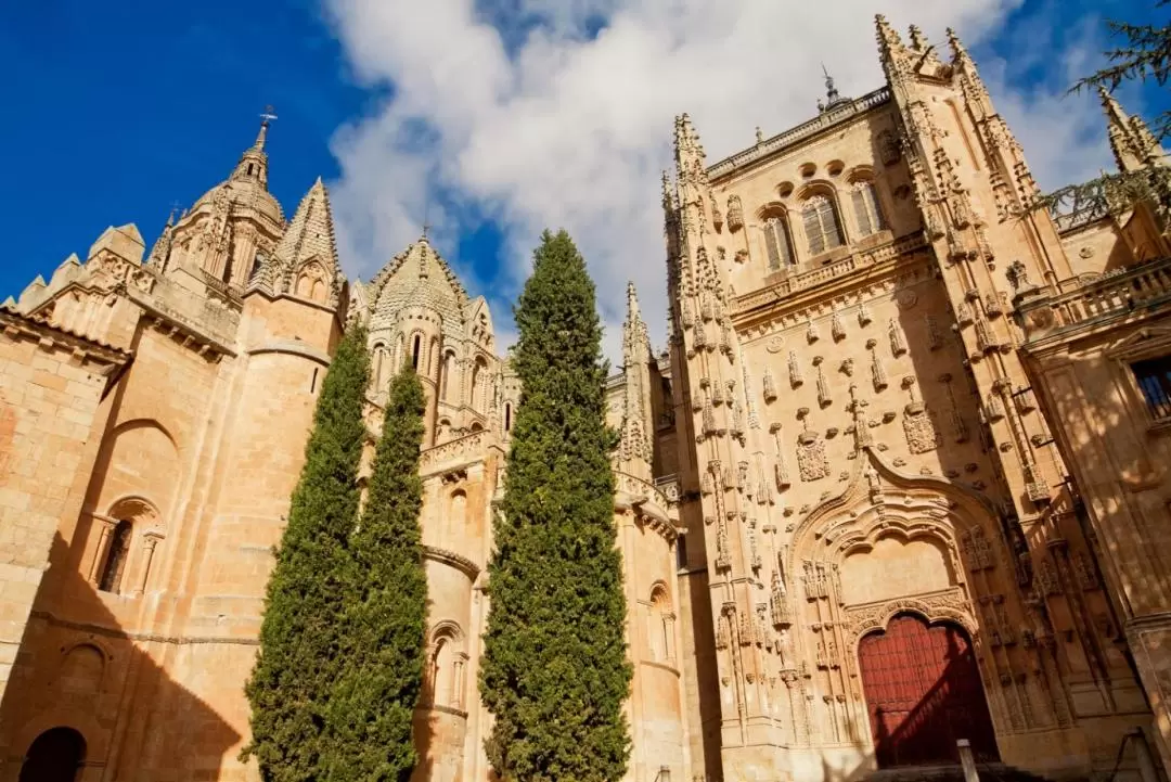 Day Tour to Avila & Salamanca from Madrid