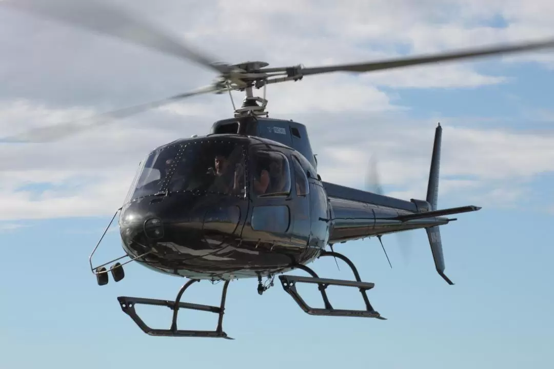 Scenic Helicopter Flight with Winery Picnic