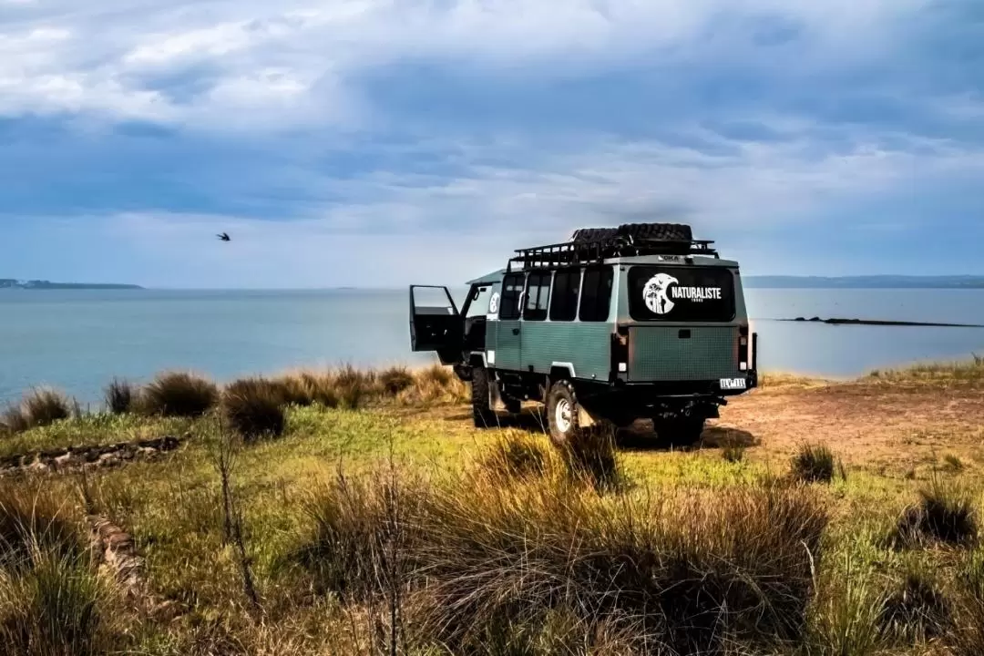 French Island Naturaliste Tours - Wines, Vines, and Vistas 