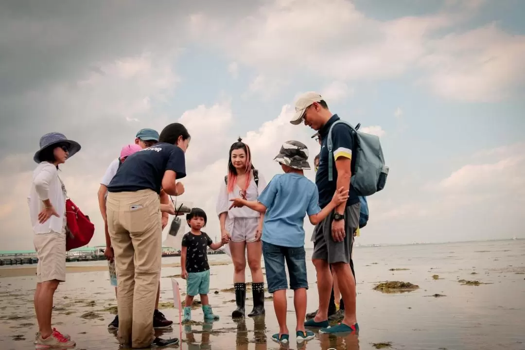 新加坡Marine Scientist Day Camp海洋營地體驗