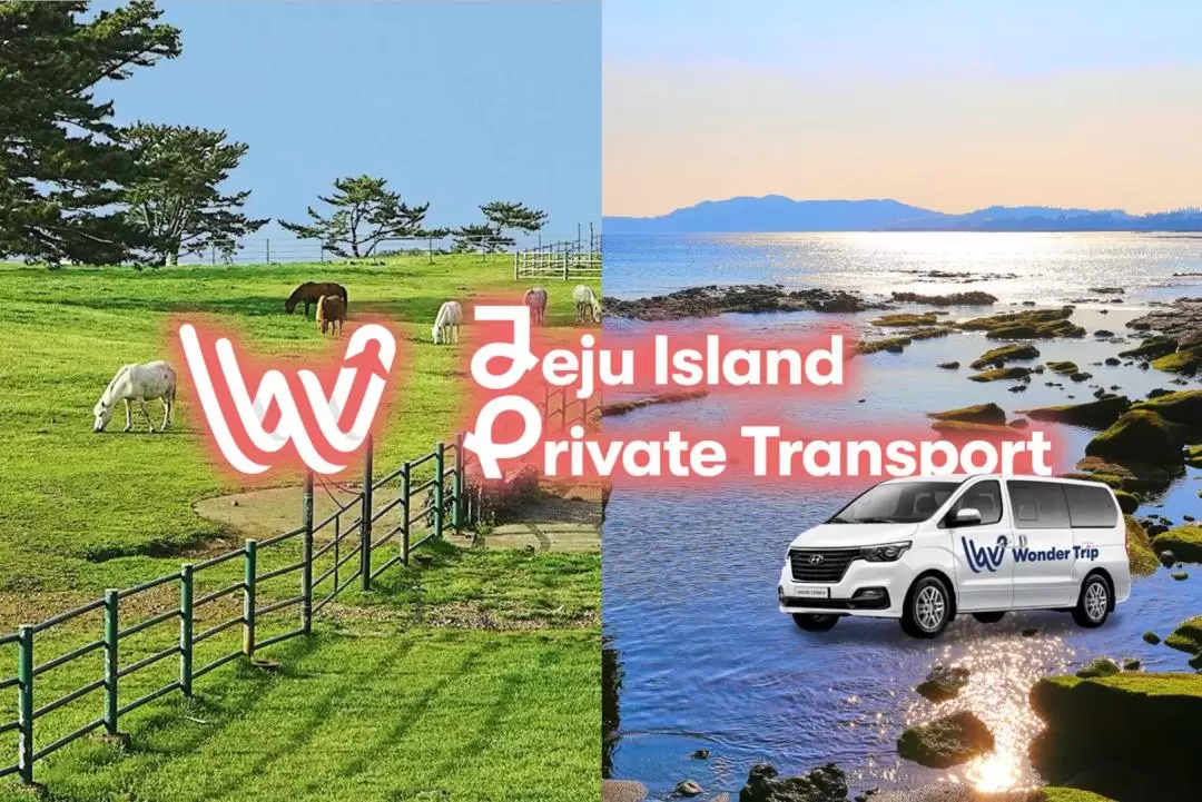 Jeju Private Car Charter by Wonder Trip