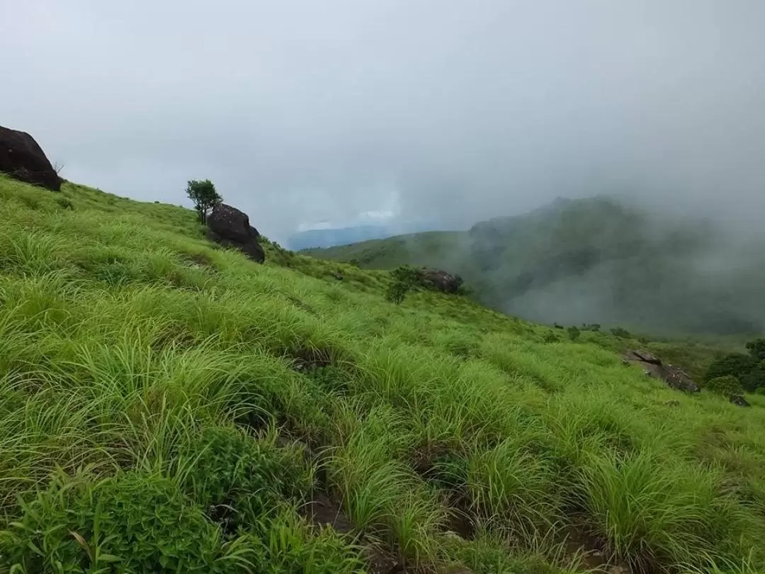 果達古最高Tadiyandamol山頂徒步