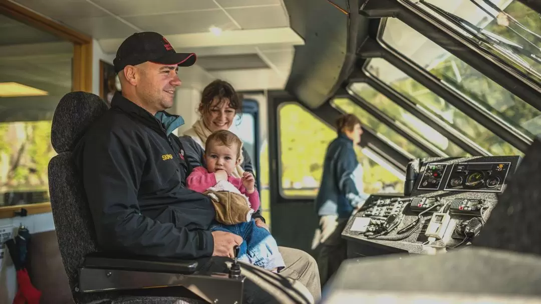 Milford Sound Nature Cruise by Southern Discoveries