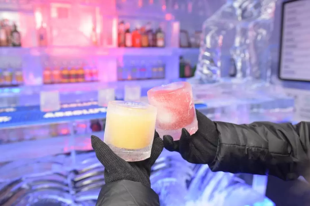 Minus 5 Ice Bar Antarctic Experience