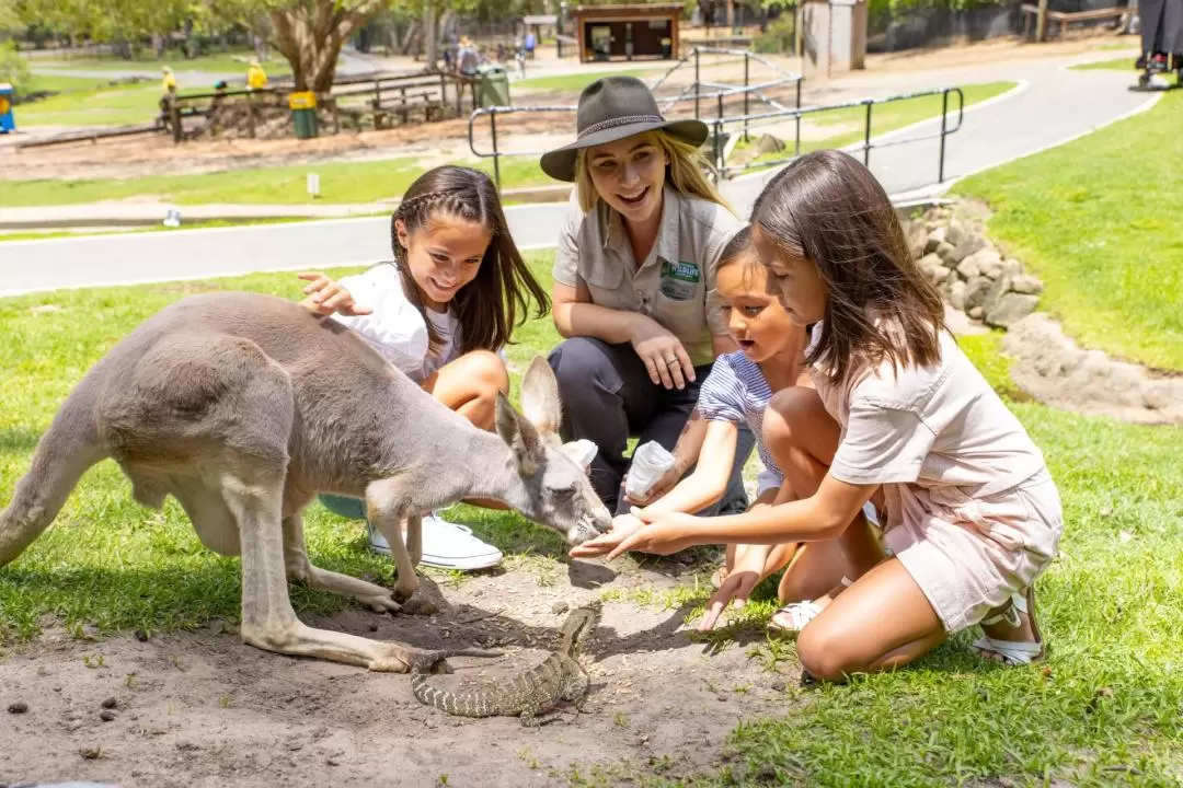 Currumbin Wildlife Sanctuary Ticket