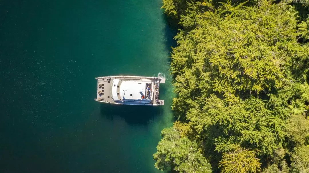 Marlborough Greenshell Mussel Cruise