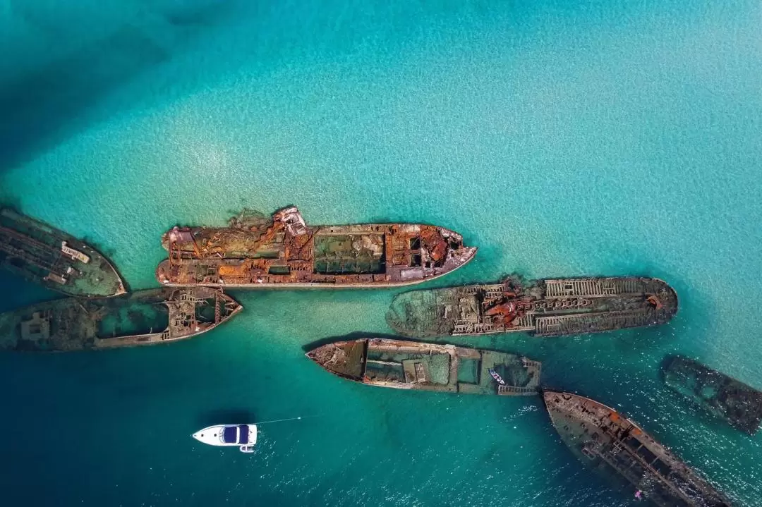 Wrecks Adventure Experience in Moreton Island