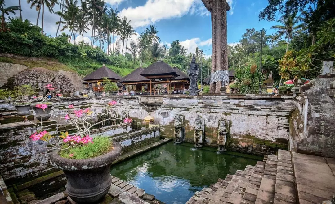 Private Spiritual Healing Day Trip in Bali