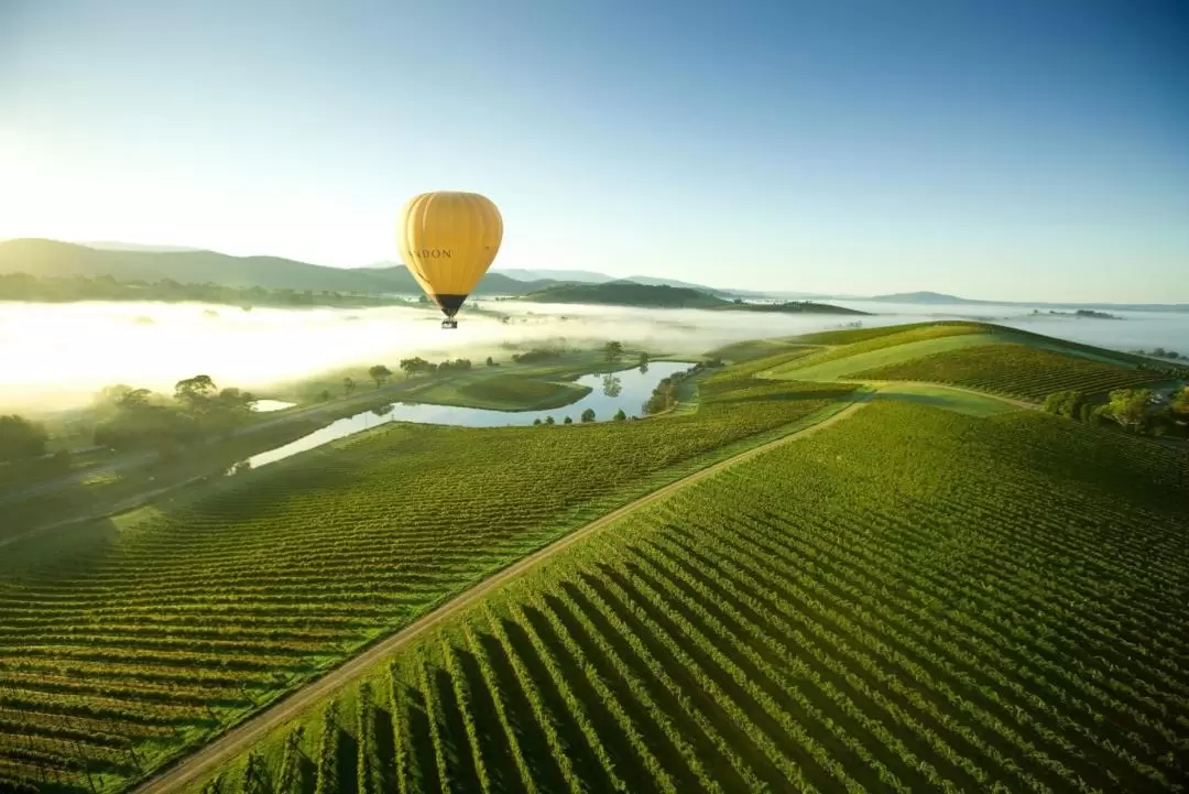 Hot Air Ballooning in Yarra Valley with Transfers from Melbourne 