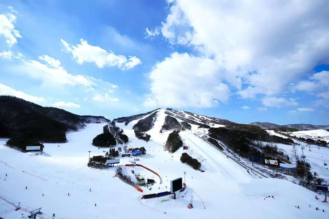 江原道 Welli Hill滑雪度假村一日遊