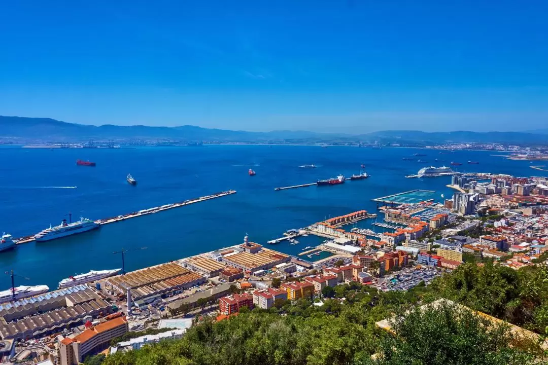 Guided Full Day Tour Gibraltar Shopping from Malaga or Marbella