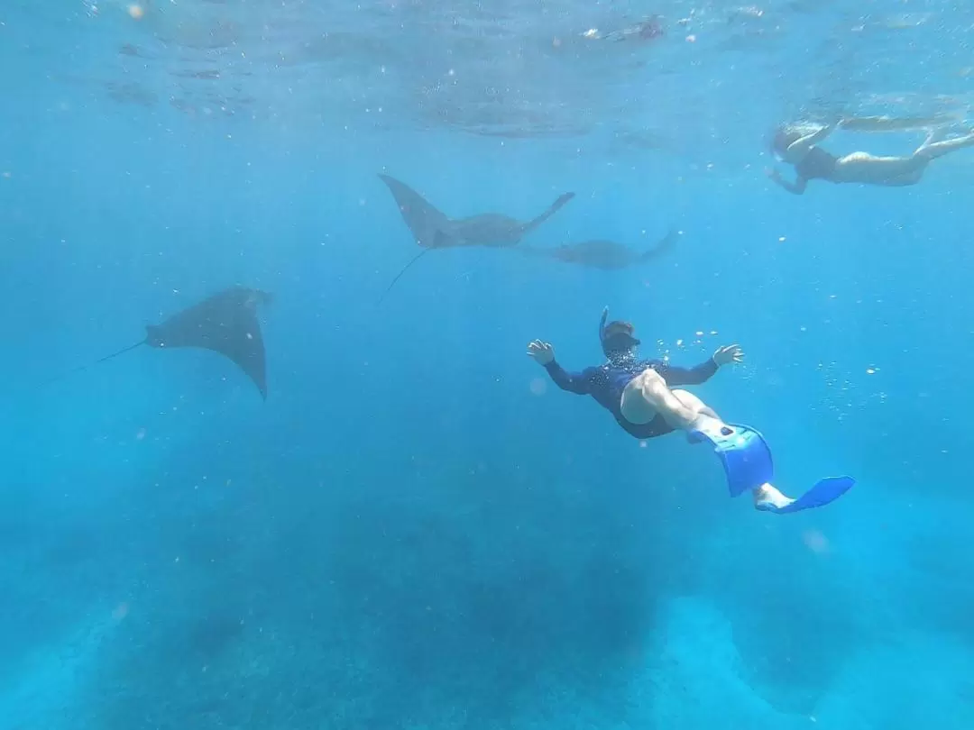 Four Spots Snorkelling Experience in Nusa Lembongan